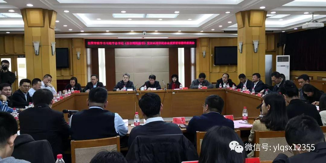 何灵敏会长赴京参加全国青联座谈会(图2) 6-20031G03554W0.jpg