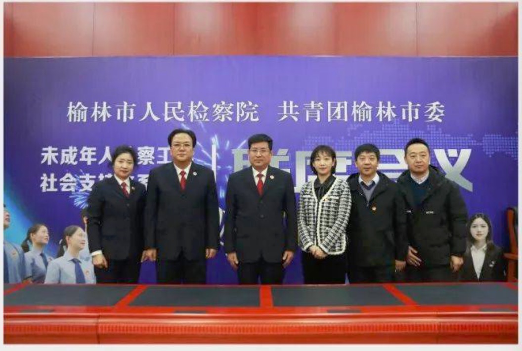 榆林市未成年人检察工作社会支持体系联系会议召开(图3)