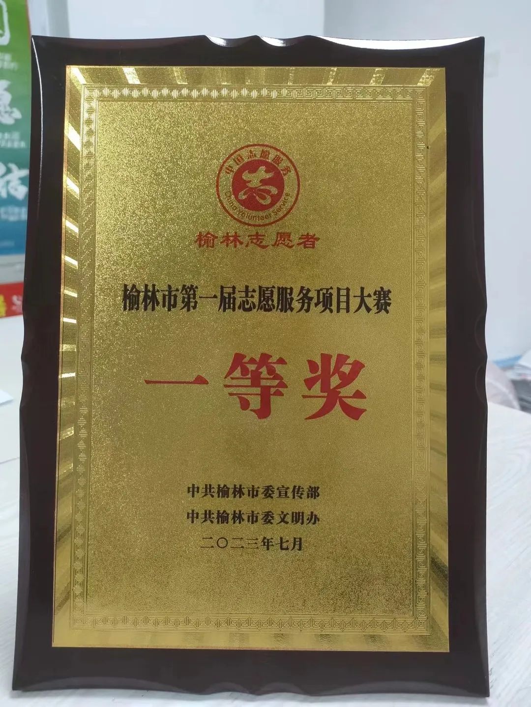 喜报|同心聚力共创佳绩,协会项目双双获奖(图15) 图片